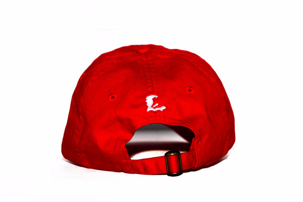 Sand "ZLNL" Dad Hat